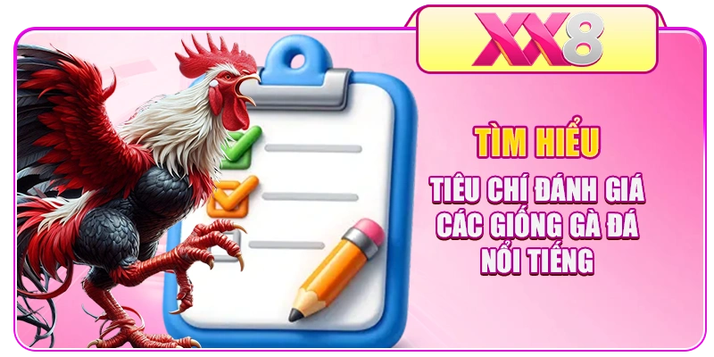 Tìm hiểu tiêu chí đánh giá các giống gà đá nổi tiếng 